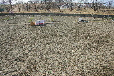 2008年　春・夏野菜畑