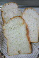 ご飯パン(ドライイースト）2